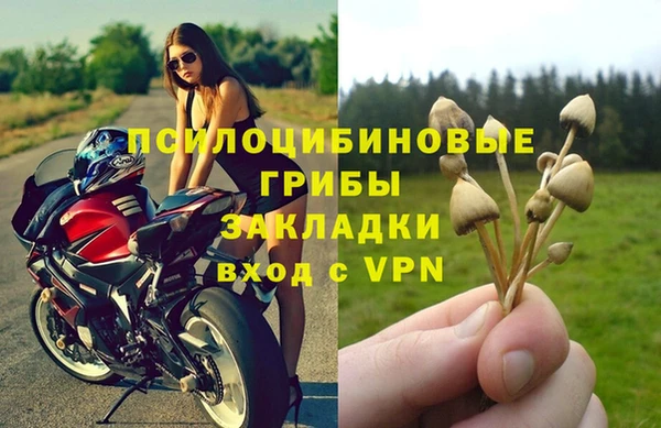 меф Медногорск